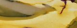 Polished Mookaite Jasper Slab - Australia #110264-1